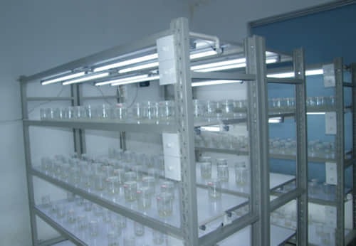 培養(yǎng)架，組培架，煉苗架