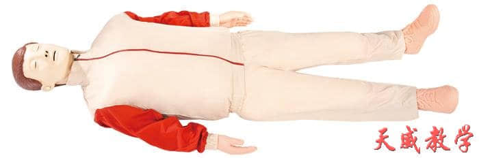 電腦心肺復(fù)蘇模擬人