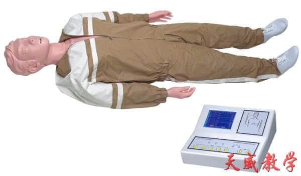 大屏幕全自動(dòng)電腦心肺復(fù)蘇模擬人