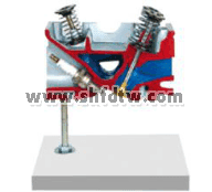 氣缸蓋解剖模型3氣門發(fā)動(dòng)機(jī)