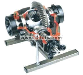 帶鎖止裝置的差速器解剖模型