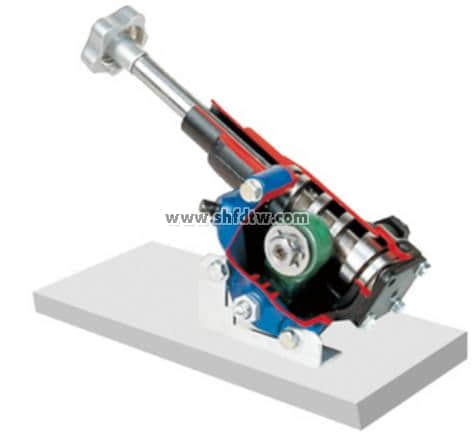 指形(finger)轉(zhuǎn)向器解剖模型