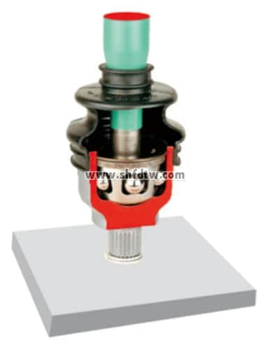 聯(lián)軸器解剖模型